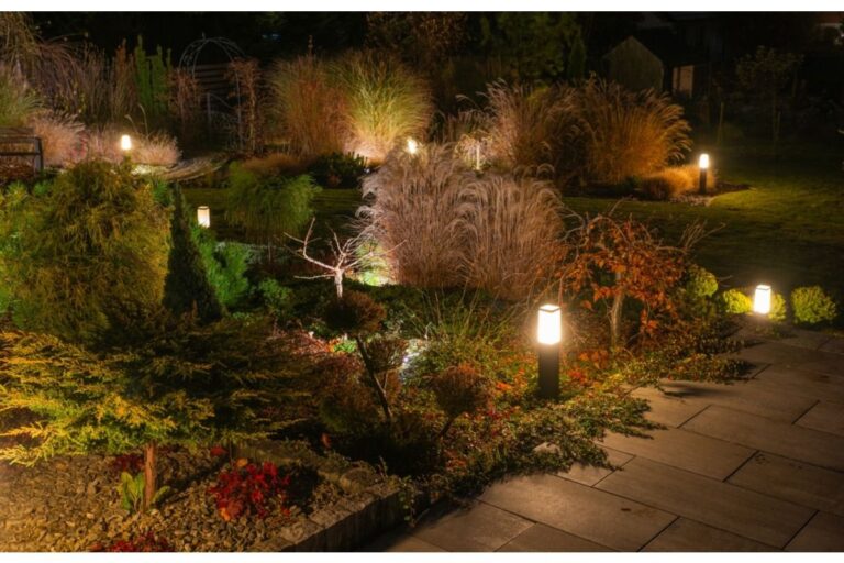Homeowner Says His Neighbor Installed Bright Garden Lights That Stay On All Night, Now His Plants Are Struggling and Tension Is Growing