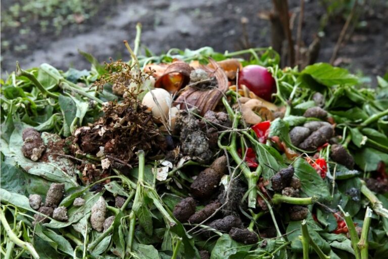 Homeowner Says His Neighbor’s Compost Pile Is Attracting Pests Into His Garden, Now It’s Causing Tension Between Them