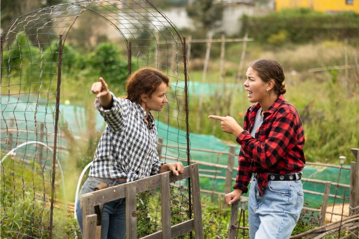 Homeowner Says Neighbor Planted a Vegetable Garden on His Property Without Asking, Then Got Upset When It Was Removed “They Expected Me to Replace Everything”