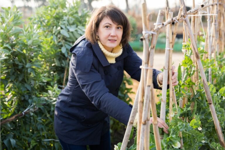 Homeowner Says She Can’t Enjoy Her Garden Anymore Because of Neighbors, Now She’s Trying to “Fix the Space Instead of Fighting Them”