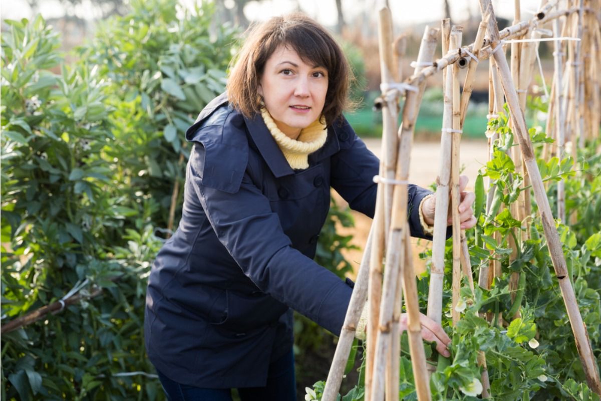 Homeowner Says She Can’t Enjoy Her Garden Anymore Because of Neighbors, Now She’s Trying to “Fix the Space Instead of Fighting Them”
