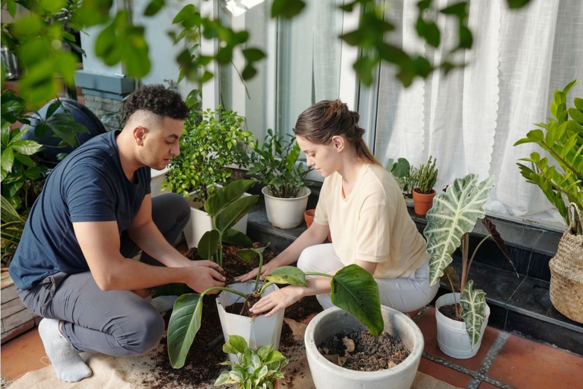 Husband Says He Didn’t Want to Help With His Wife’s Garden, but Keeps Getting Pulled Into the Work, Now It’s Causing Friction “It’s Her Hobby, But I’m Doing the Labor”