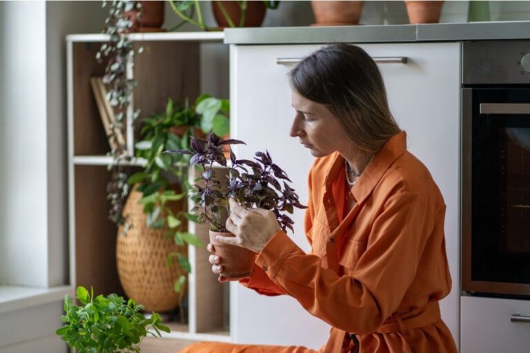 If Your Plants Keep Drooping Even After Watering, Something Else Is Going Wrong