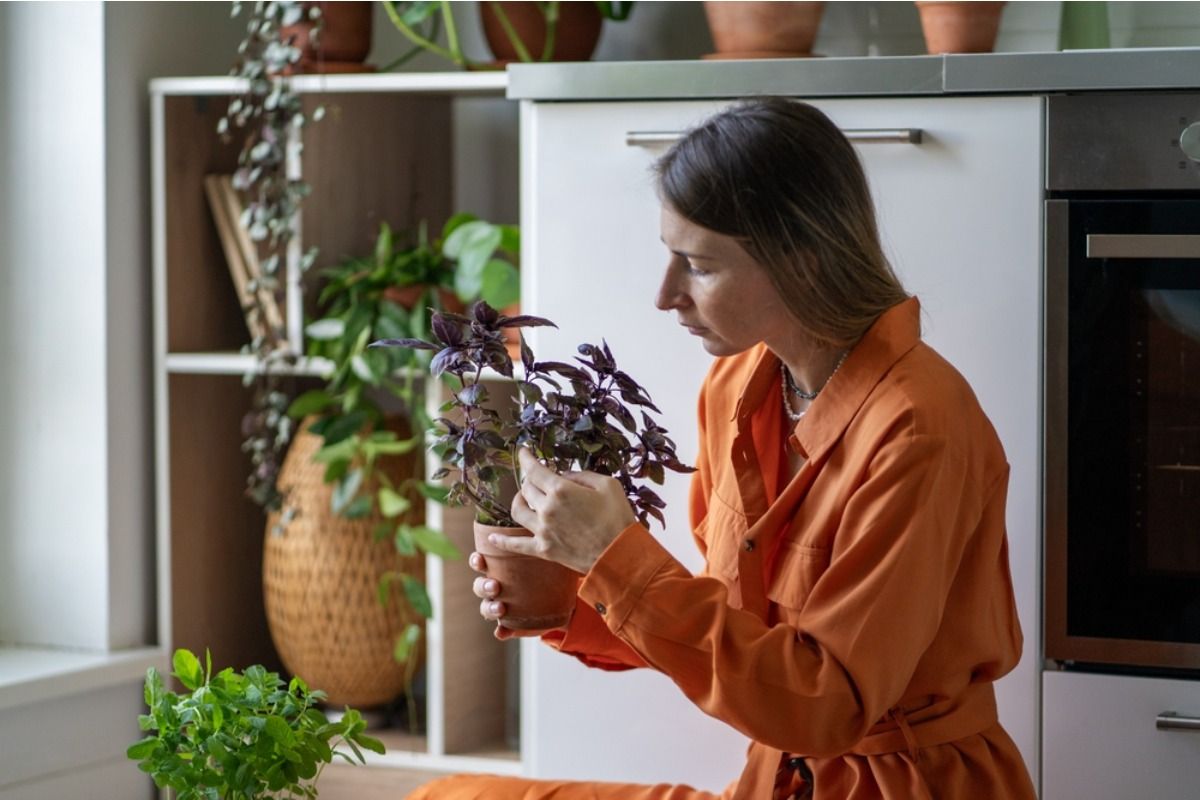 If Your Plants Keep Drooping Even After Watering, Something Else Is Going Wrong