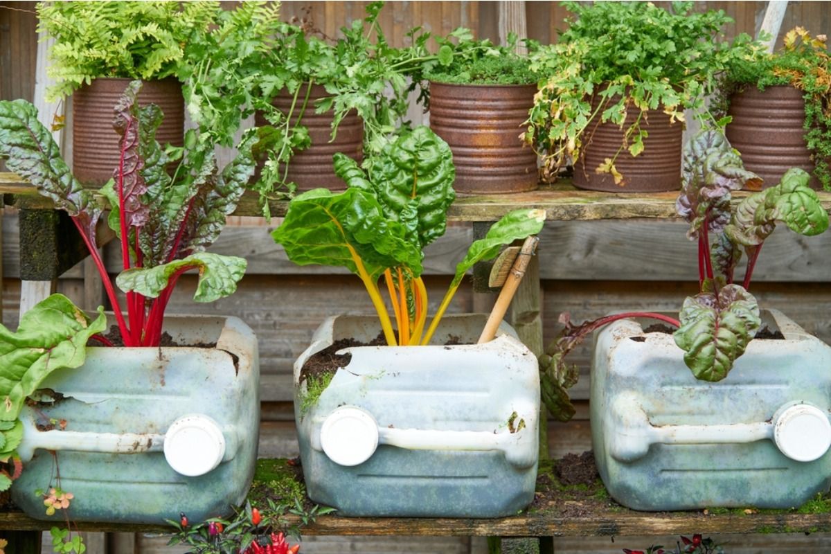 People Are Growing Vegetables in Recycled Containers at Home, And It’s Becoming a Low-Cost Alternative to Traditional Gardens