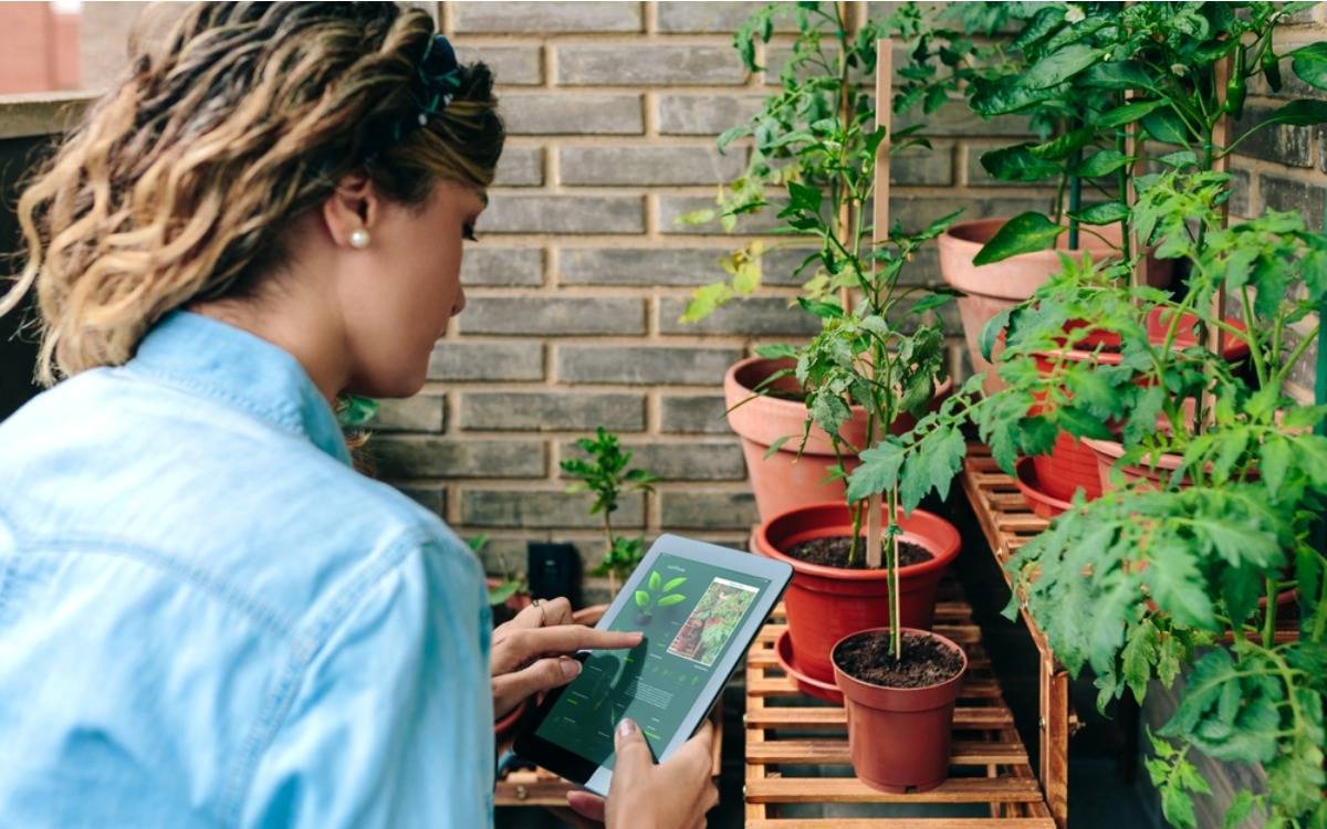 People Are Tracking Their Home Garden Harvests Like a System, And It’s Helping Them Grow More With Less Waste
