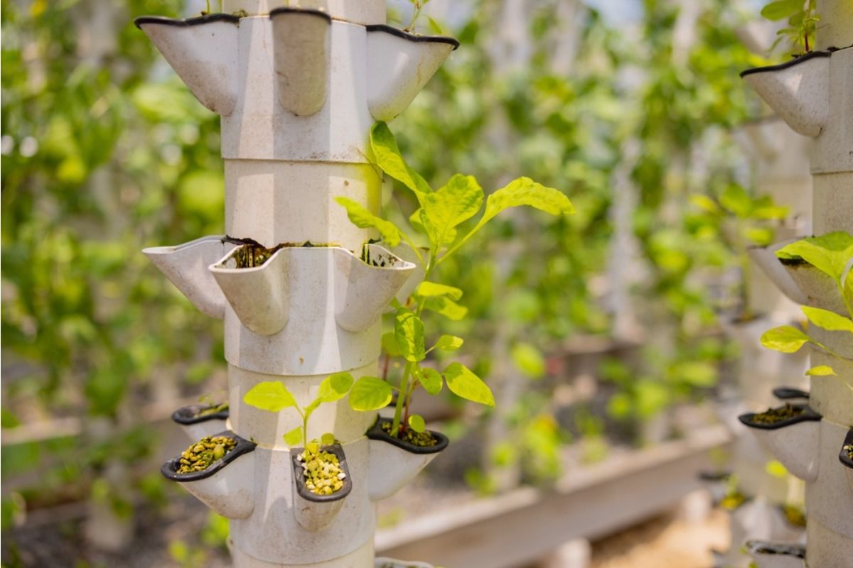 Some Gardeners Are Growing Vegetables in Stackable Towers Indoors, And Vertical Farming Is Reaching Living Rooms
