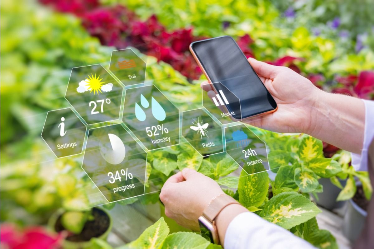 Some Indoor Gardeners Are Using Smart Sensors to Track Plant Health, And It’s Reducing Guesswork in Daily Care
