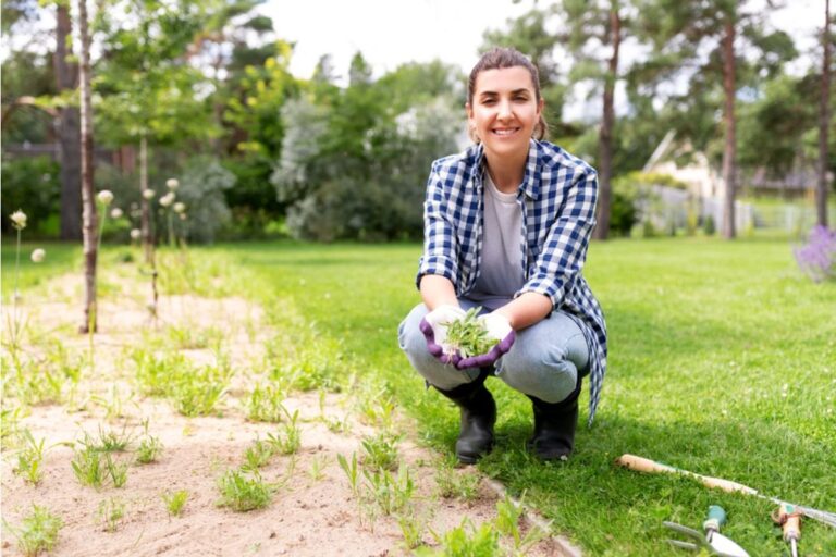 Some People Are Letting Weeds Grow on Purpose in Their Gardens, And It’s Dividing Opinions on What “Healthy” Really Means