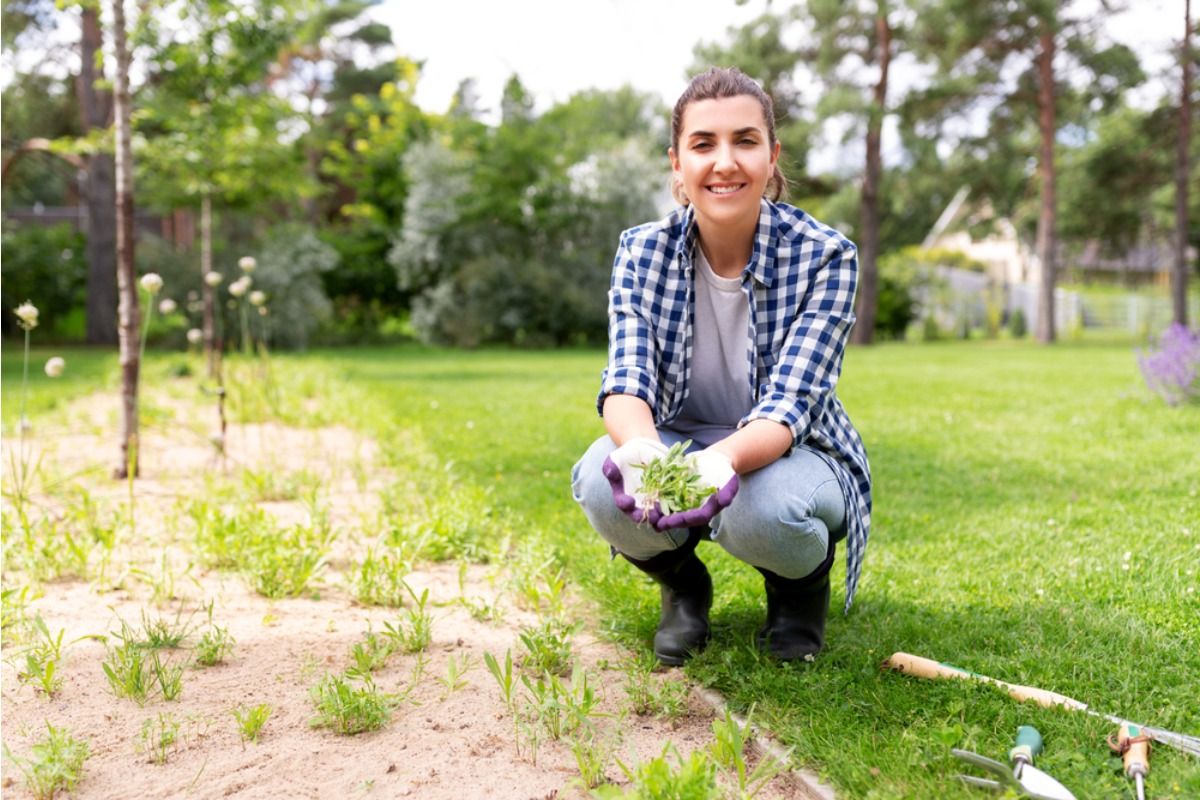 Some People Are Letting Weeds Grow on Purpose in Their Gardens, And It’s Dividing Opinions on What “Healthy” Really Means