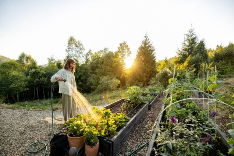 The Early Morning Routine Many Gardeners Follow Might Be Doing More Harm Than Good During Rapid Growth Season