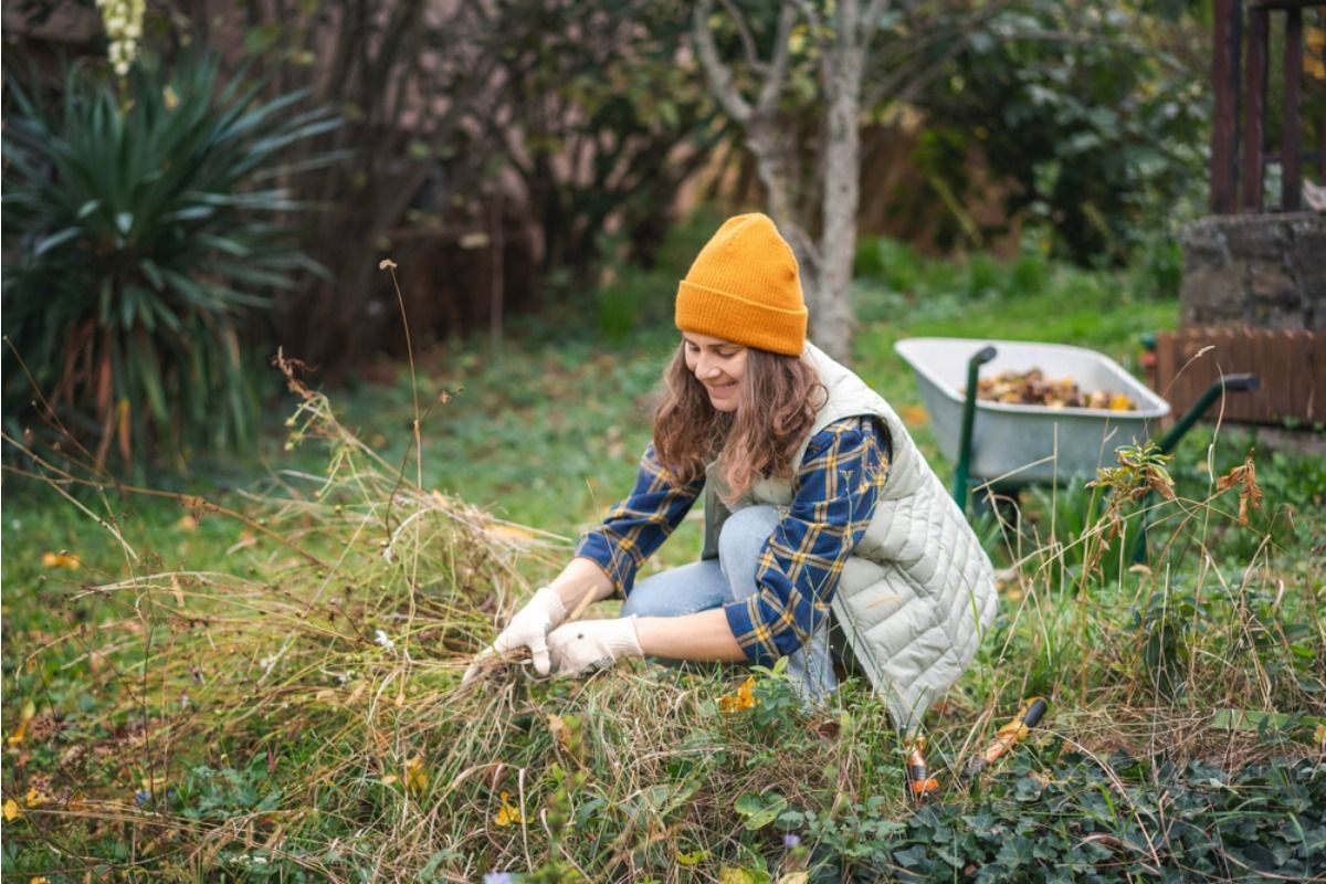 Why Some Gardens Dry Out Faster Than Others, Even When They’re Watered the Same Way Every Day