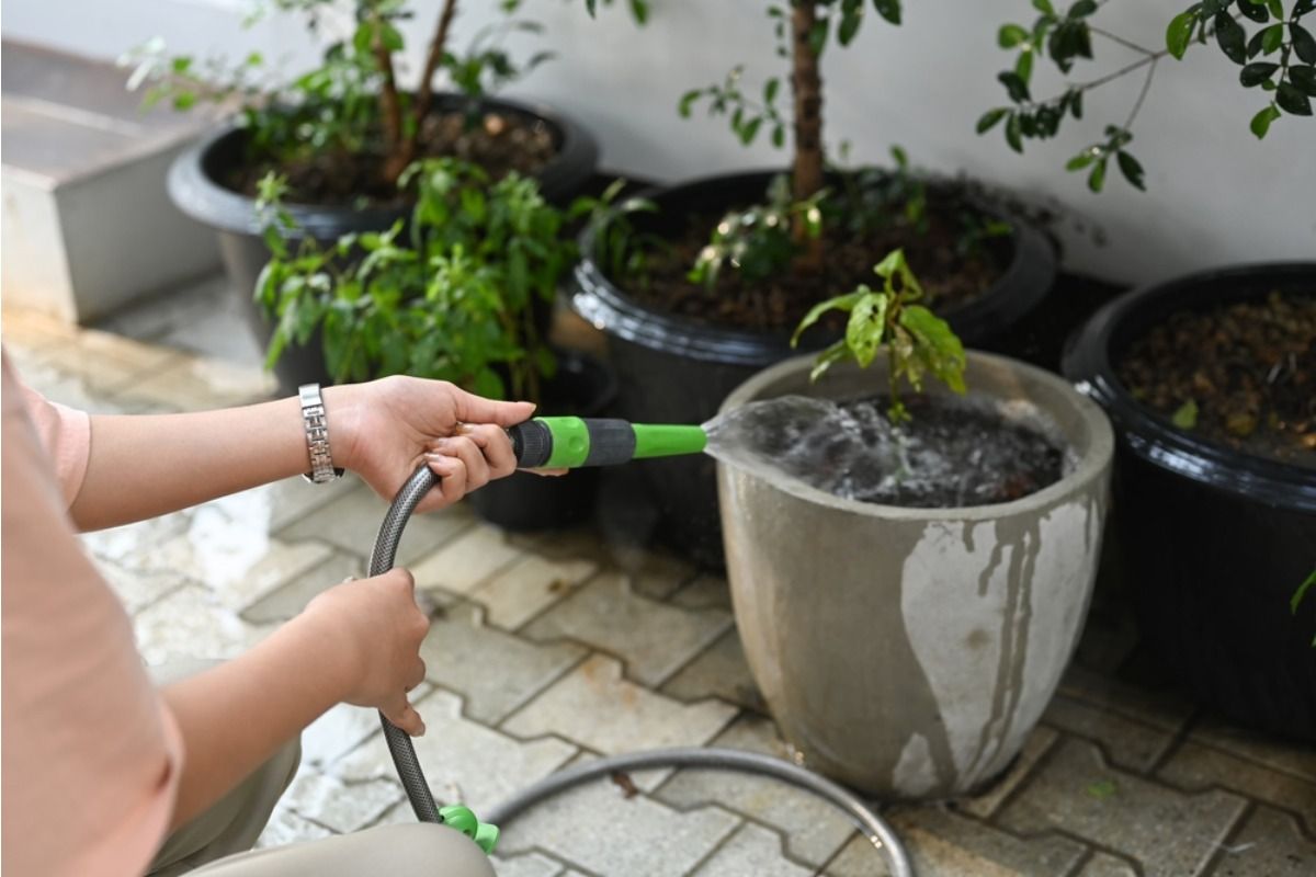 Why Some Gardens Stay Damp for Too Long After Watering, And How It Quietly Affects Root Health