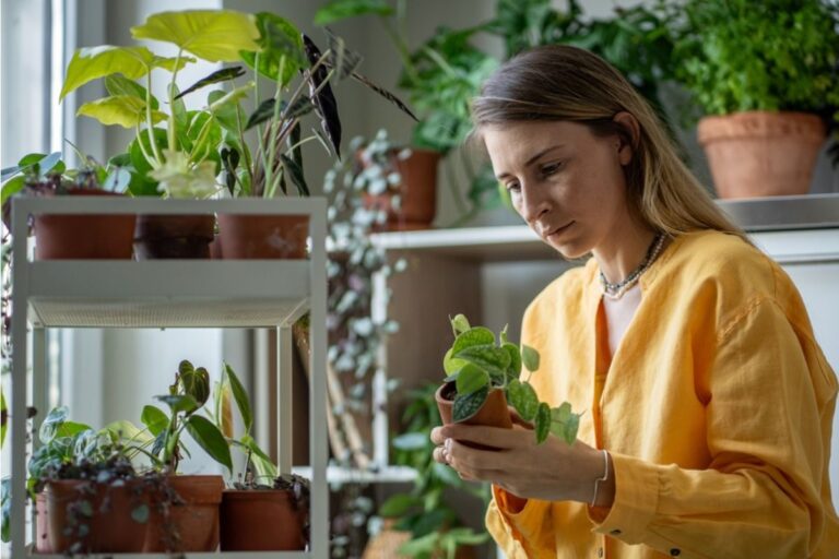 Why Some Plants Suddenly Stop Producing New Leaves Even When Conditions Seem Perfect