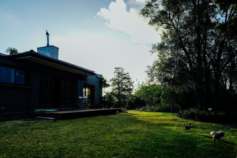 A modern house with a large green lawn and trees.