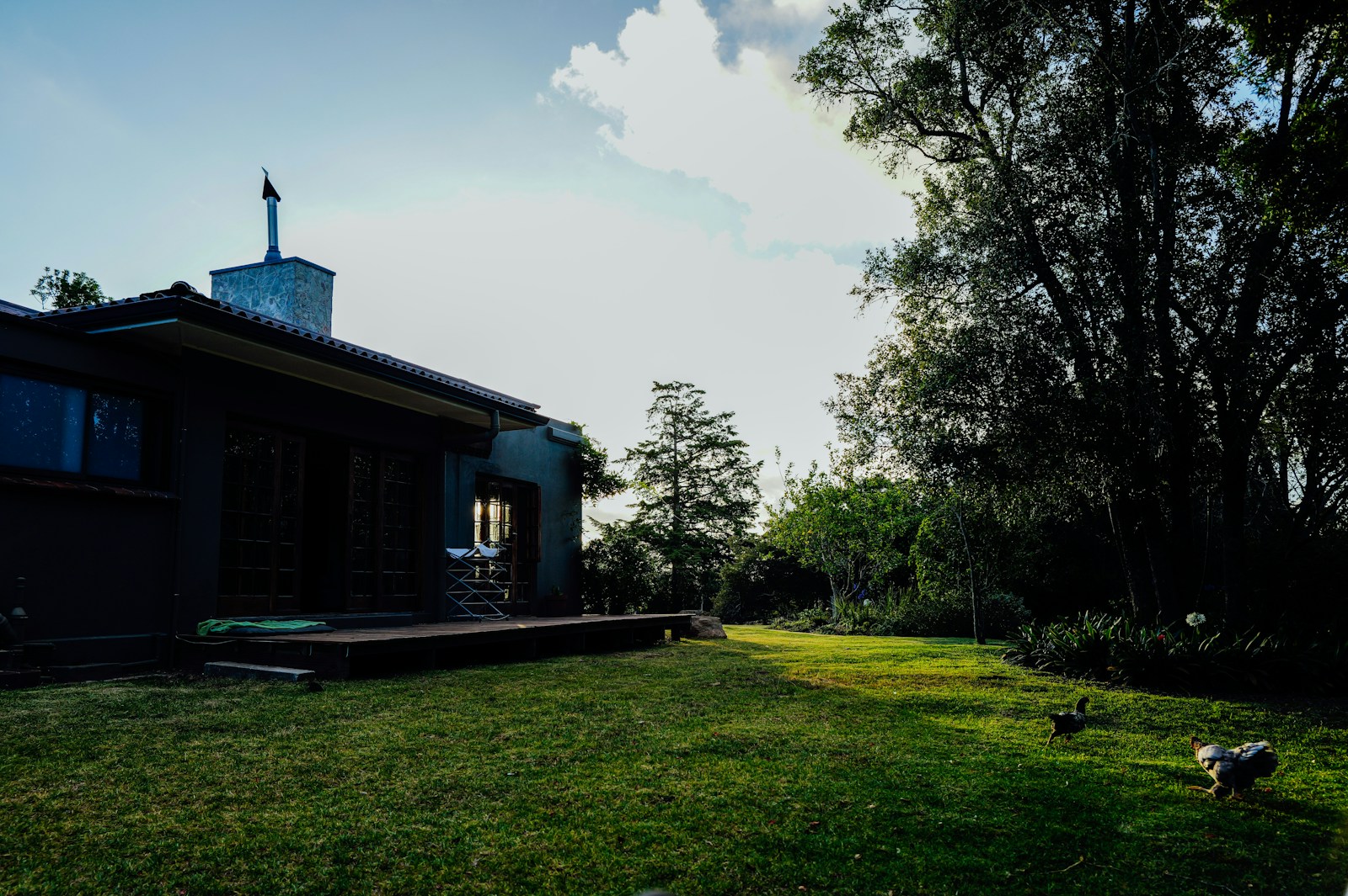 A modern house with a large green lawn and trees.