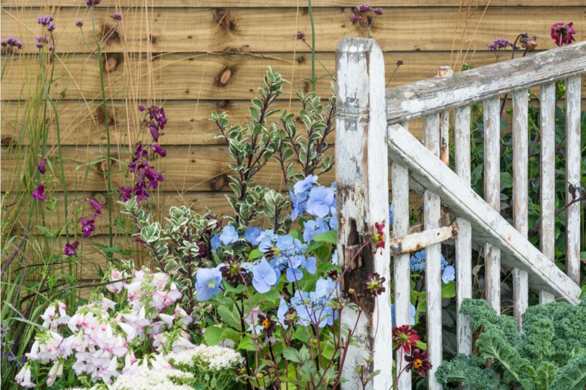 A Backyard Grower Says His Garden Fence Keeps Getting Opened at Night, And He Thinks Someone Is Sneaking In for Produce