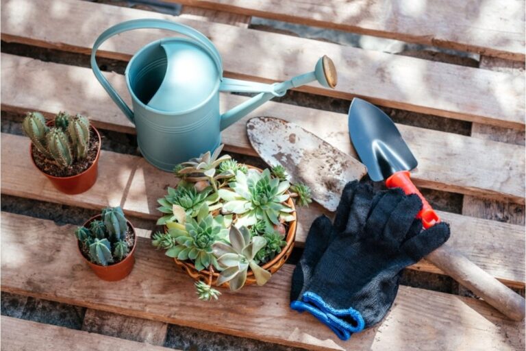 A Backyard Grower Says His Garden Tools Keep Disappearing in Shared Spaces, Now He Suspects Someone Is Using Them Without Asking
