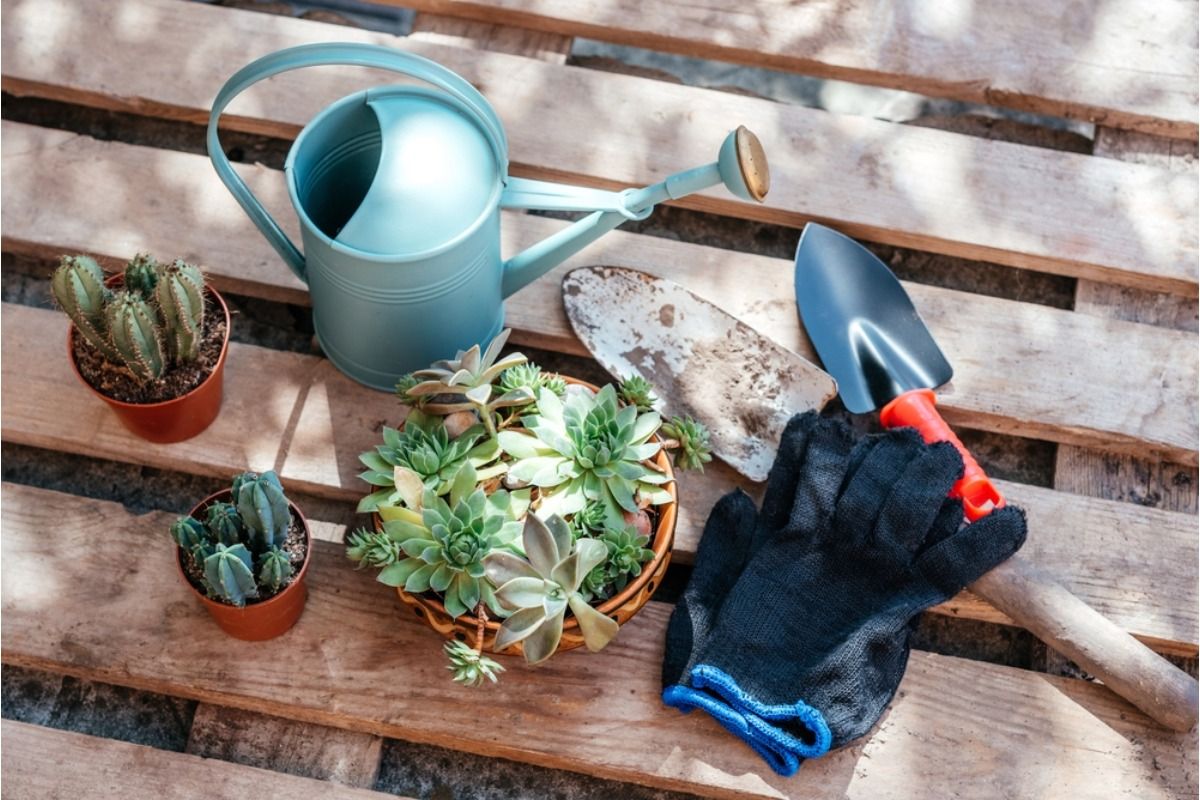 A Backyard Grower Says His Garden Tools Keep Disappearing in Shared Spaces, Now He Suspects Someone Is Using Them Without Asking