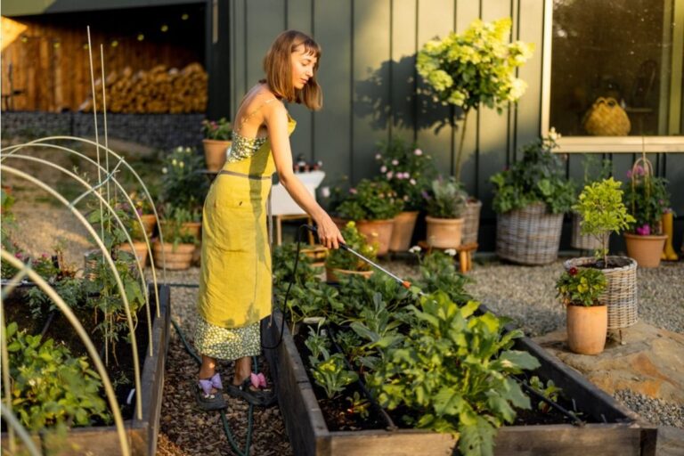 A Backyard Grower Says His Partner Keeps “Fixing” the Garden Without Asking, Now Plants Are Dying From Too Many Changes