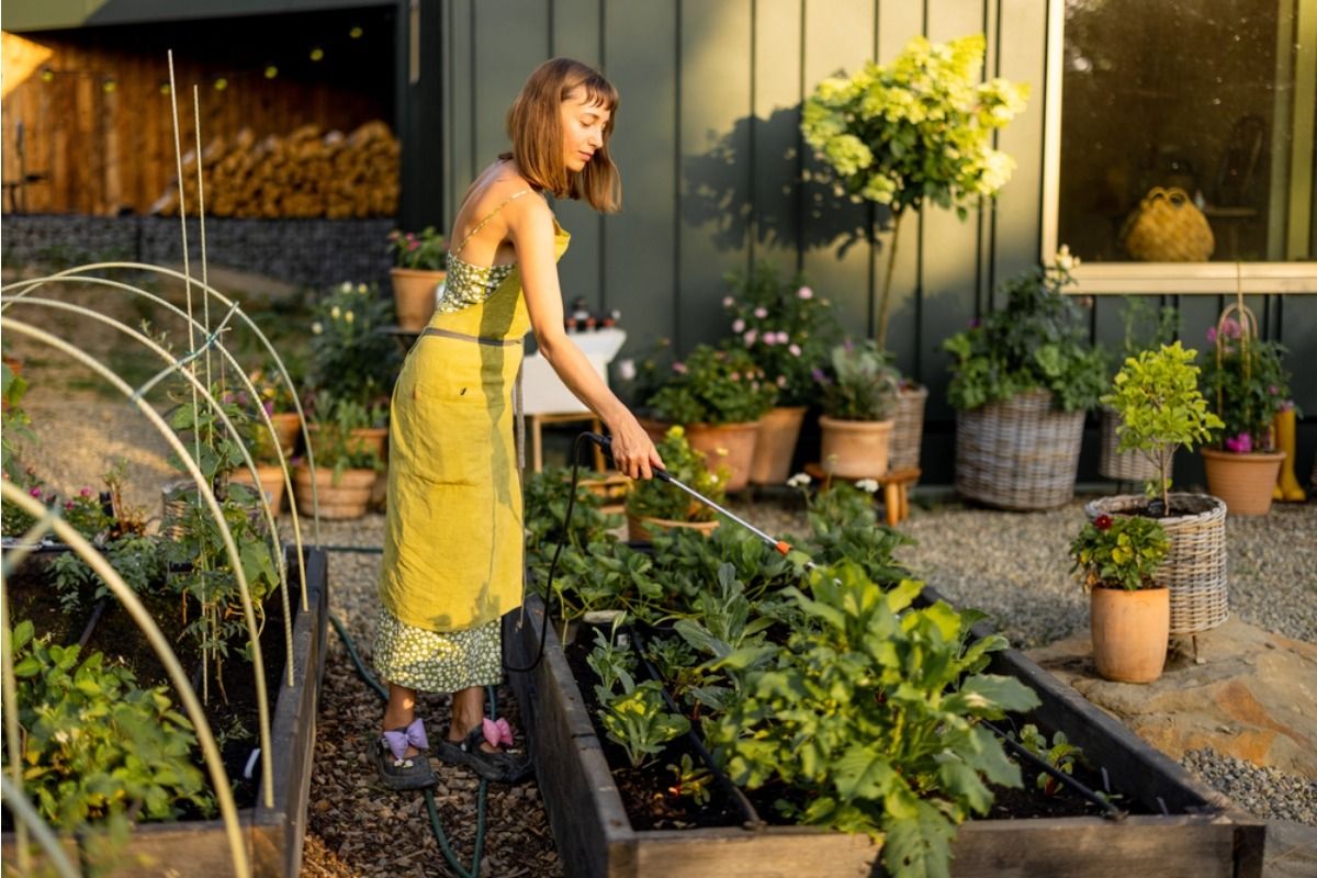 A Backyard Grower Says His Partner Keeps “Fixing” the Garden Without Asking, Now Plants Are Dying From Too Many Changes