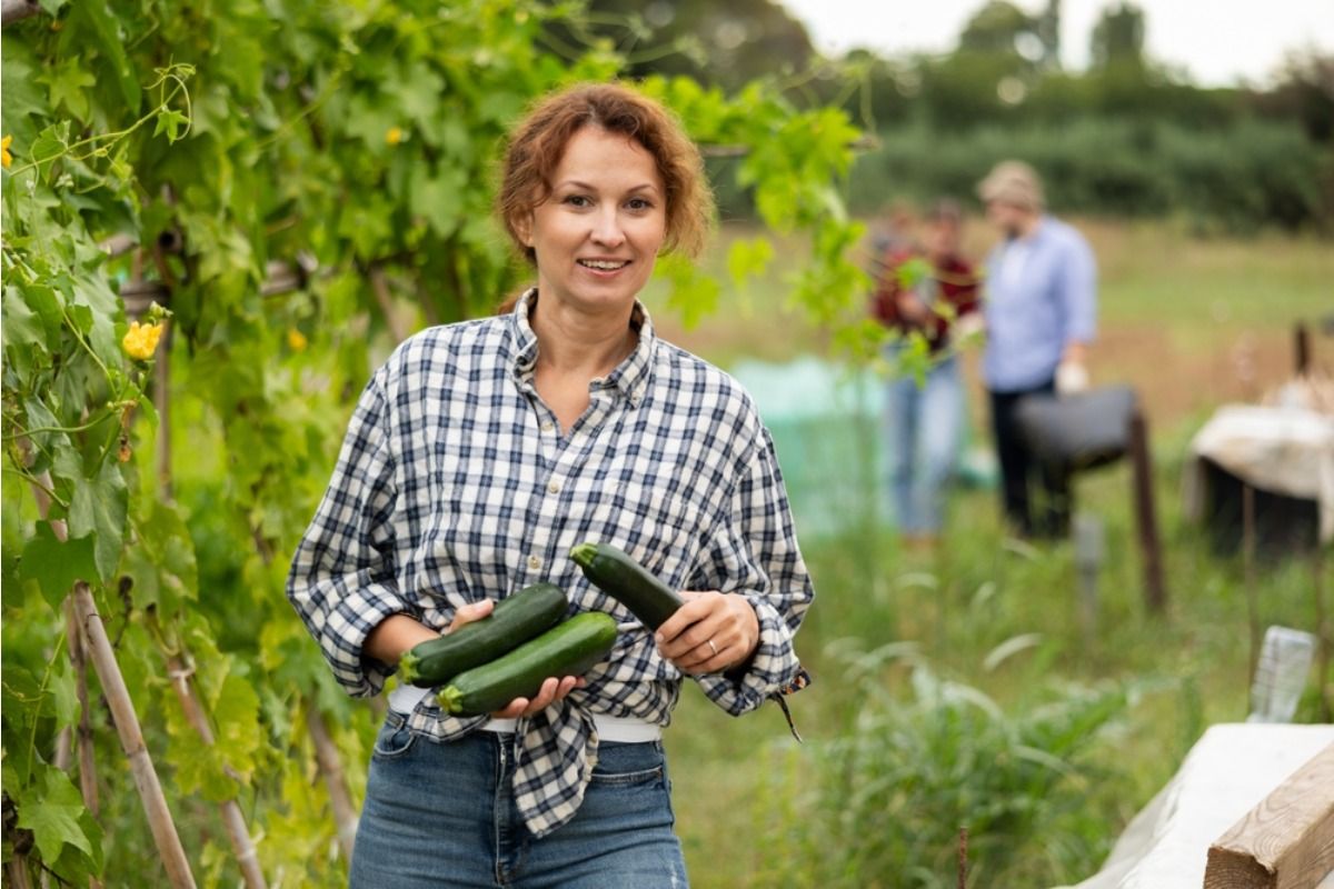 Gardener Says Her Extra Zucchini Giveaway Turned Into a Neighborhood Expectation, Now People Knock on Her Door Asking for Produce Daily