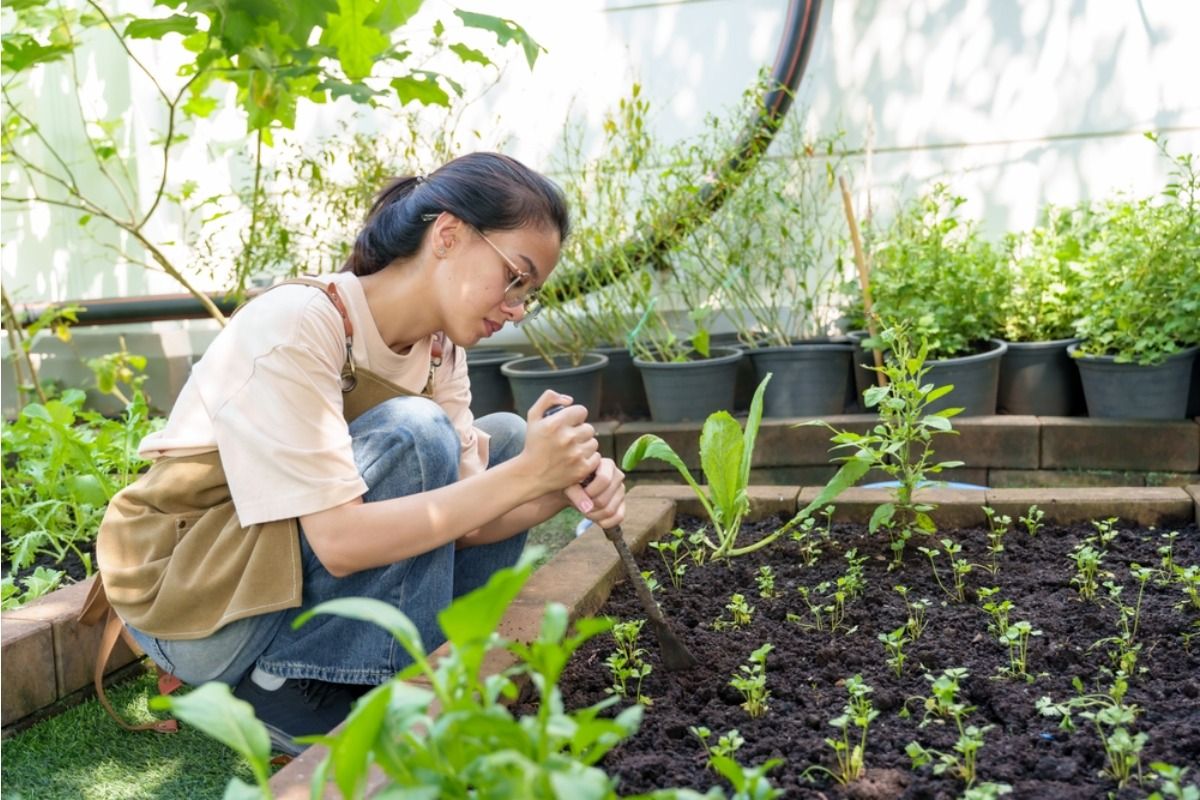 Gardener Says Her Family Mocked Her Backyard Garden for Years Until Grocery Prices Went Up, Now Everyone Wants Free Produce