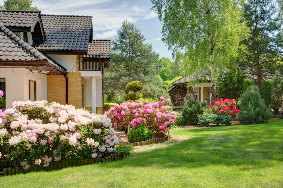 Gardener Says Her Neighborhood Loves Her Flower Garden Until Bees Show Up, Now Some Residents Want Certain Plants Removed