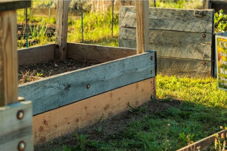 Gardener Says Local Children Keep Using Her Raised Beds as “Treasure Hunt” Areas, Now Newly Planted Crops Are Constantly Being Disturbed