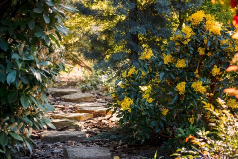Gardener Says Local Families Keep Treating Her Garden Path Like a Public Walking Trail, Now Plants Along the Edges Are Being Crushed Daily