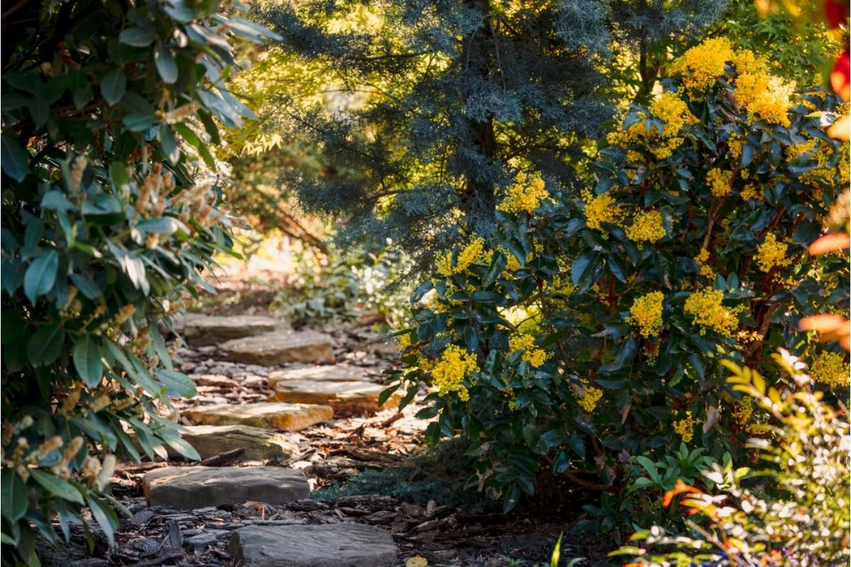 Gardener Says Local Families Keep Treating Her Garden Path Like a Public Walking Trail, Now Plants Along the Edges Are Being Crushed Daily