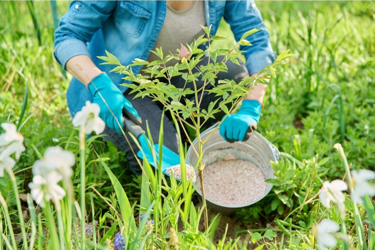 Gardener Says Neighbors Keep Complaining About the Smell of Her Natural Fertilizer, Now She Feels Pressured to Stop Using It