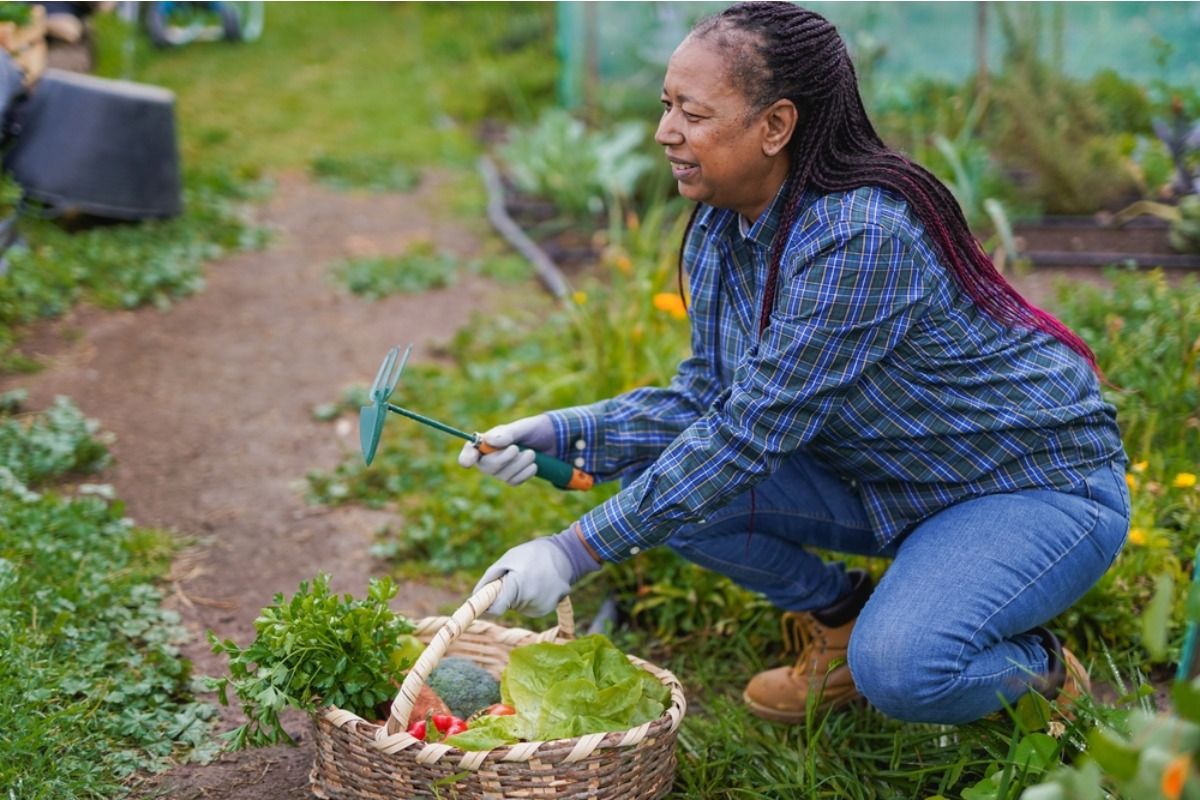Gardener Says Someone Keeps “Accidentally” Harvesting Her Best Vegetables First, Now She’s Labeling Everything by Name and Date