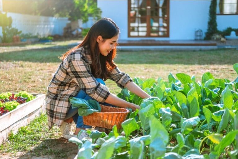 Gardener Says Someone Keeps Harvesting Only the Best Vegetables and Leaving the Rest Behind, Now She’s Trying to Catch Them
