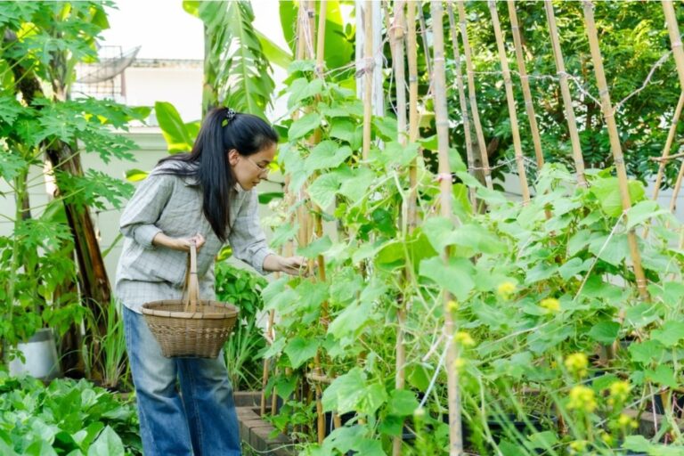 Gardener Says Someone Keeps Harvesting Vegetables During Community Open House Tours, Now She Regrets Letting Visitors In