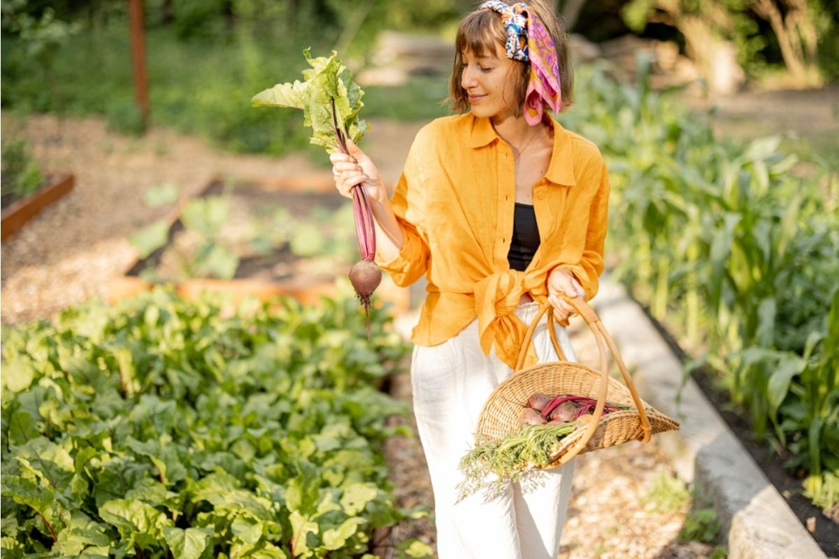 Gardener Says Someone Keeps Harvesting Vegetables From Her Yard While She’s at Work, Now She’s Started Weighing Produce to Track What’s Missing