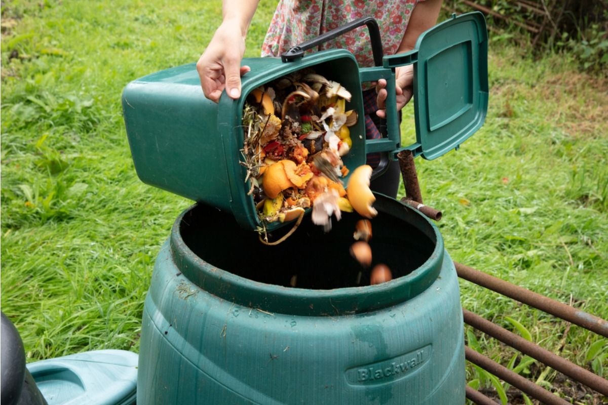 Gardener Says Someone Keeps Opening Her Compost Bin to Add Random Food Scraps, Now Strange Plants and Odors Are Appearing Everywhere