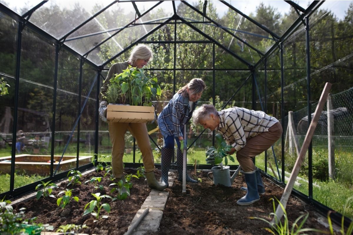 Gardener Says Someone Keeps Opening Her Greenhouse to “Let Fresh Air In,” Now Sensitive Plants Are Struggling to Recover