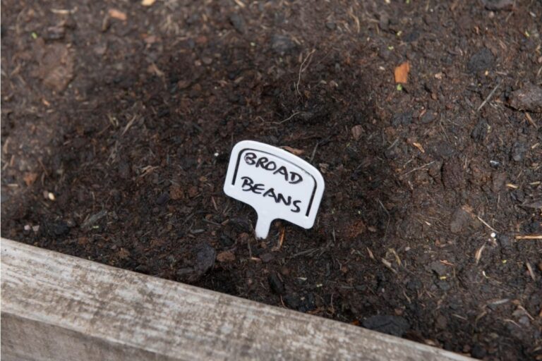 Gardener Says Someone Keeps Swapping Plant Labels in Her Backyard, Now Her Entire Vegetable Patch Is Getting Confused