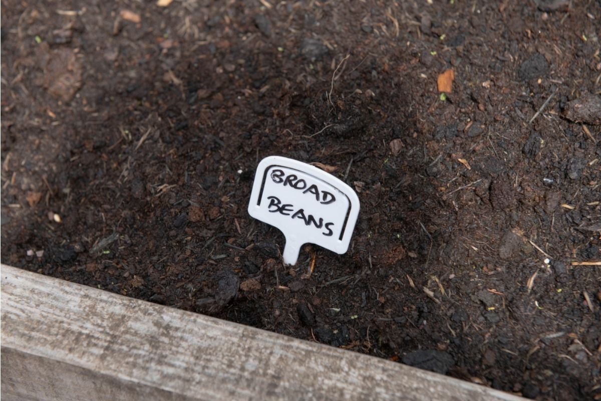 Gardener Says Someone Keeps Swapping Plant Labels in Her Backyard, Now Her Entire Vegetable Patch Is Getting Confused