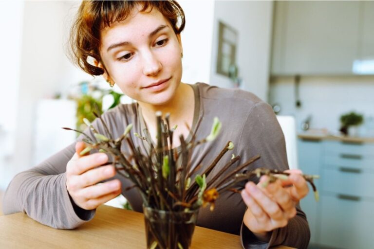 Gardener Says Someone Keeps Taking Plant Cuttings During Open Garden Tours, Now Rare Varieties Are Slowly Disappearing