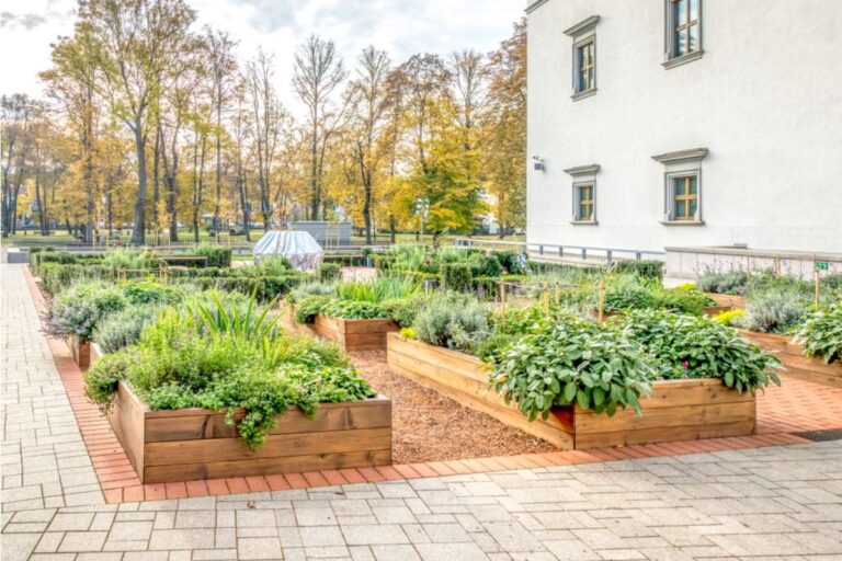Gardener Says Visitors Keep Assuming Front Yard Vegetables Are “Free to Take,” Now She’s Putting Up Signs Around Every Bed