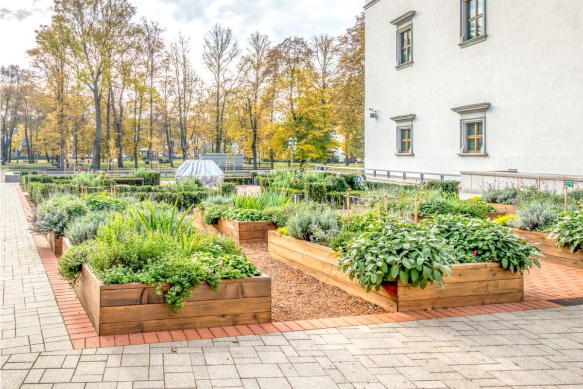 Gardener Says Visitors Keep Assuming Front Yard Vegetables Are “Free to Take,” Now She’s Putting Up Signs Around Every Bed