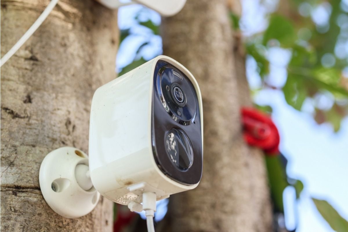 Gardeners Are Installing Outdoor Cameras to Protect Vegetables From Theft, And Some Neighbors Say It’s Making Communities Feel Less Friendly
