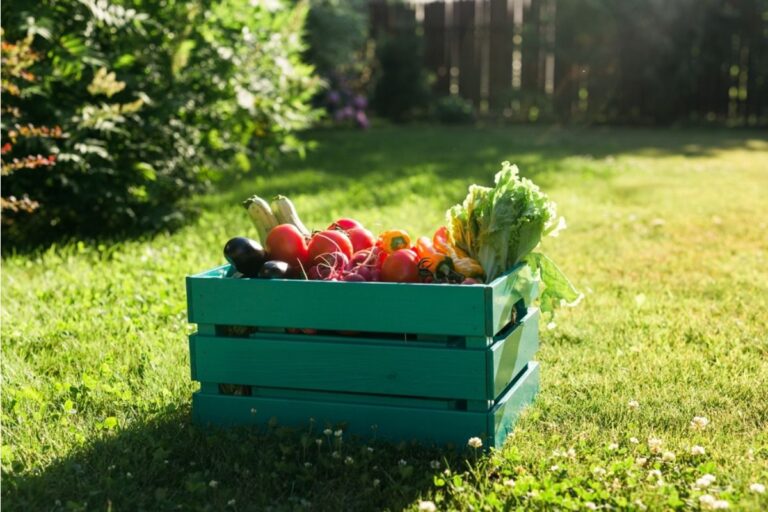Gardeners Are Leaving Produce Boxes Outside Their Homes for Free, And Some Neighbors Say People Are Starting to Take Advantage of It