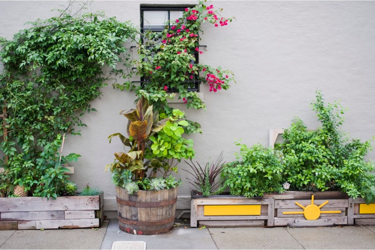 Gardeners Are Turning Old Parking Spaces Into Mini Food Gardens, And Some Residents Say Cars Matter More Than Vegetables