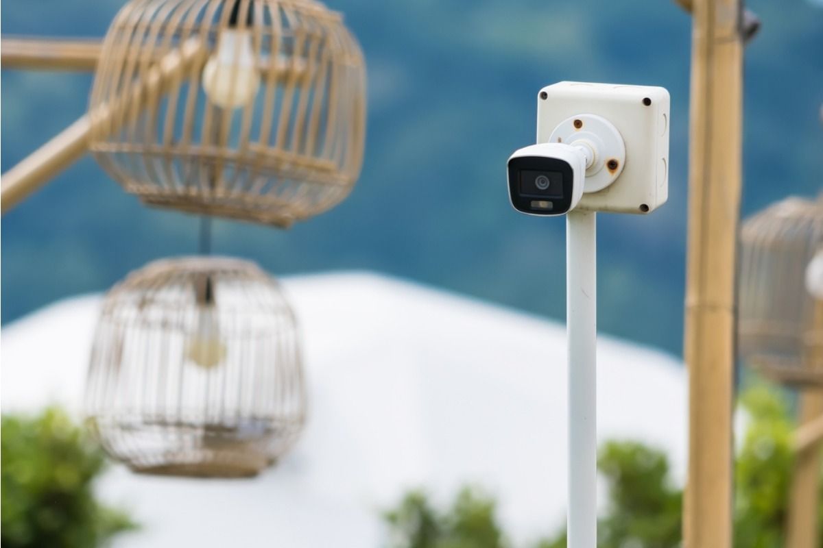 Gardeners Are Using Fake Security Cameras to Protect Vegetables From Theft, And It’s Sparking Debate Over Whether It’s Too Extreme