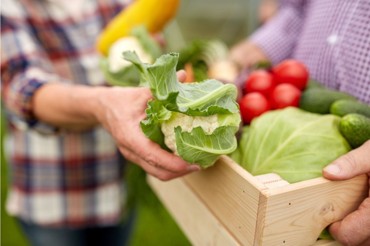 Home Gardeners Are Trading Produce Through Fence Gaps With Neighbors, And It’s Creating Unexpected Tension When Some People Take More Than They Give