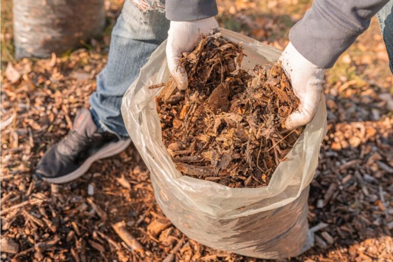 Homeowner Says Her Neighbor Keeps Composting Directly Along the Fence Line, Now She’s Dealing With Unwanted Pests in Her Garden
