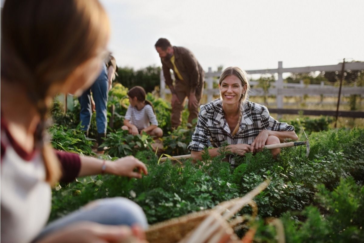 Homeowner Says Her Shared Community Garden Plot Keeps Getting Replanted by Others, Now She’s Trying to Figure Out Who’s Doing It